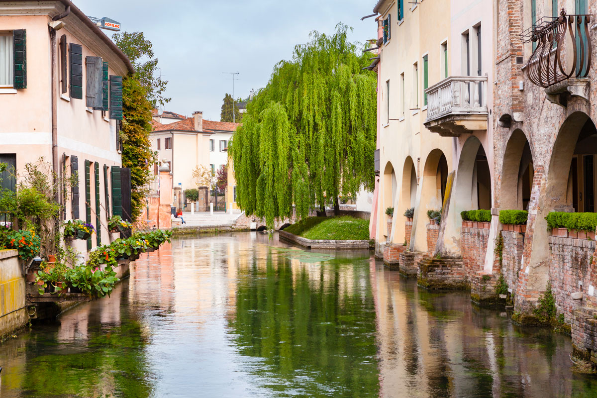 FUNGHI-DI-TREVISO-AMPLIA-LA-GAMMA-