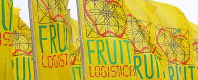Fruit Logistica Consorzio funghi di treviso