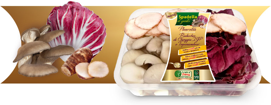pack-top-pleurotus-Radicchio-Chioggia-Topinambur